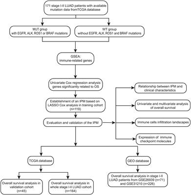 Development of an Oncogenic Driver Alteration Associated Immune-Related Prognostic Model for Stage I-II Lung Adenocarcinoma